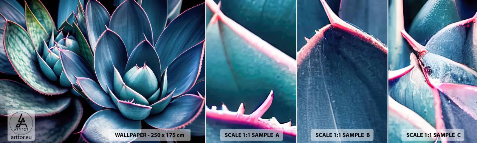 Fotótapéta Minta Standard Eco - Életerő - Virágok, Növénytan, Pozsgás növények - 100x30 cm