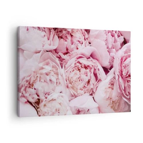 Vászonkép - Rózsaszín pünkösdi rózsák csokorának közeli képe - 70x50cm - Átölelve és illatos - Modern fali dekoráció nappalihoz és hálószobához ARTTOR