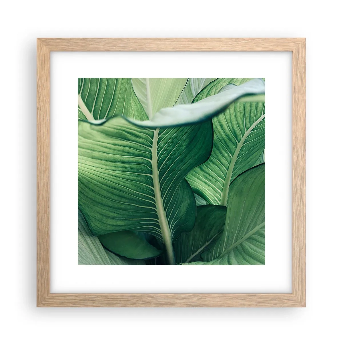 Poszter világos tölgy keretben - Intenzíven zöld élet - 30x30 cm