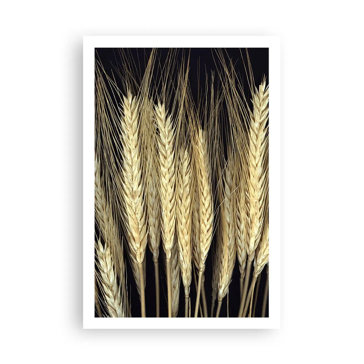 Poszter - Rusztikus varázslat - 61x91 cm