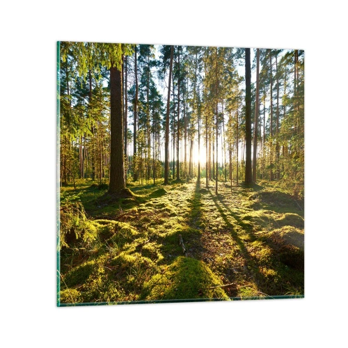 Üveg kép - … A hét erdőn túl - 30x30 cm