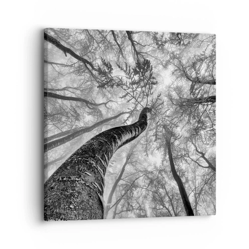 Vászonkép - Verseny a fény felé - 30x30 cm