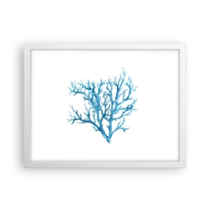 Poszter fekete keretben - Tengeri filigrán - 40x30 cm