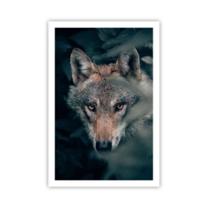 Poszter - Vadász - 61x91 cm