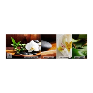 Fotótapéta Minta Premium Sand - Engedd át magad a természet érintésének - Virágok, Orchidea, Orchidea - 100x30 cm