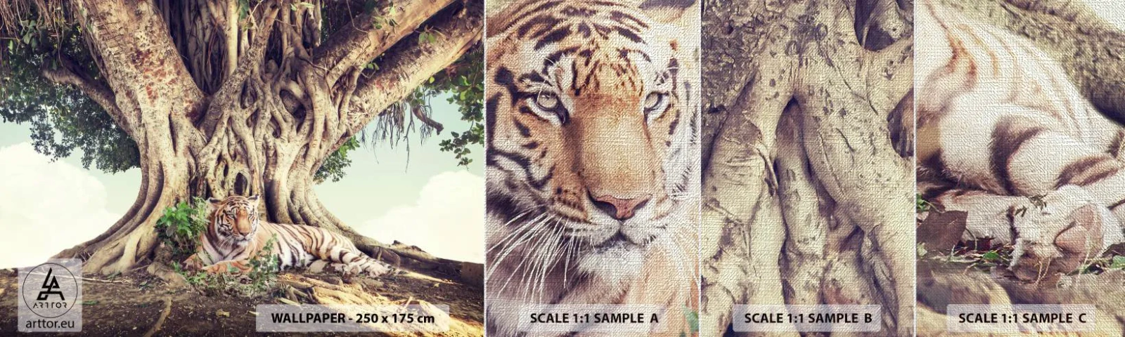 Fotótapéta Minta Premium Canvas - Kilátás a Genezis könyvéből - bengáli tigris, India, Tájkép - 100x30 cm