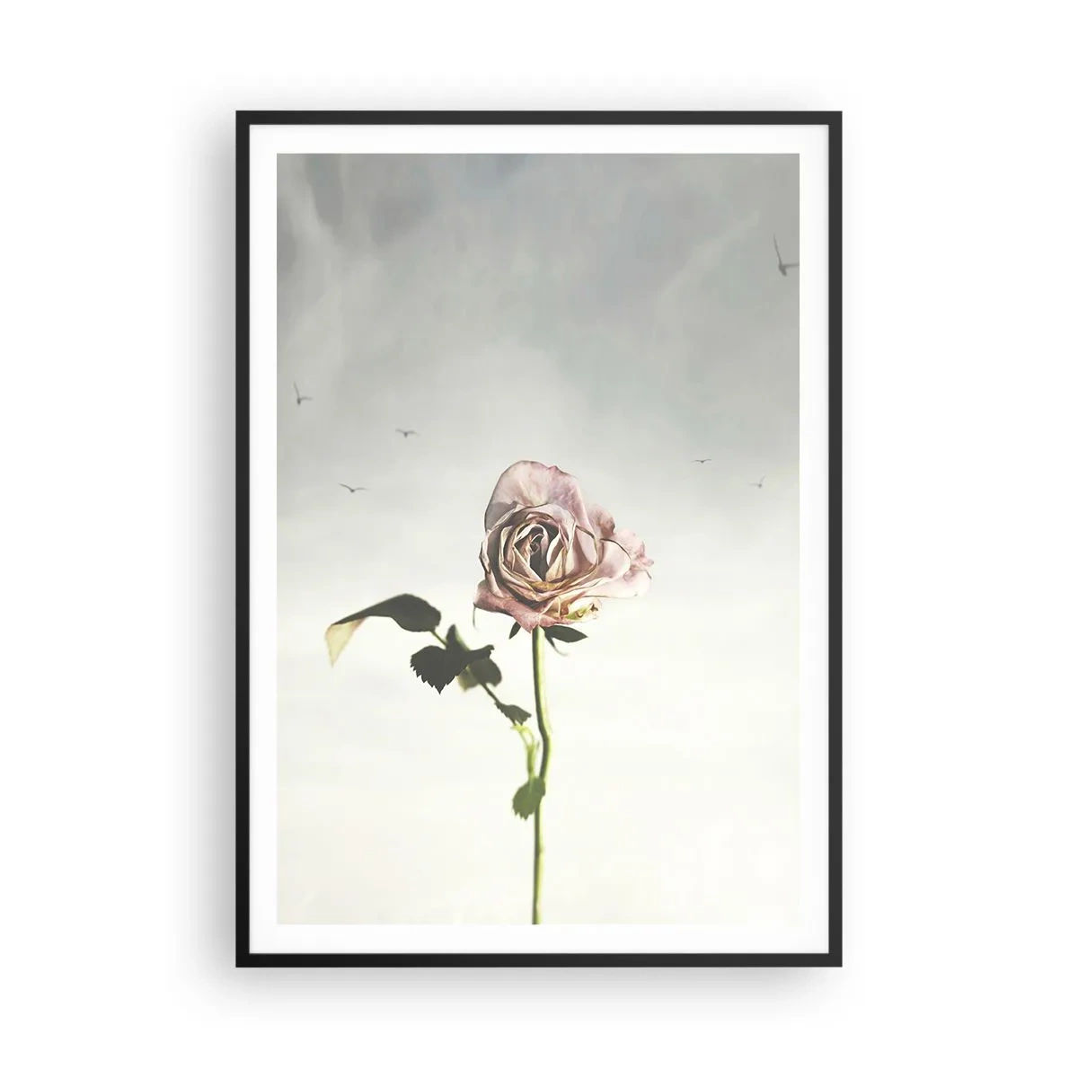 Poszter fehér keretben - Tavasz üdvözlése - 70x100 cm