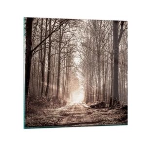 Üveg kép - Erdei katedrális - 50x50 cm