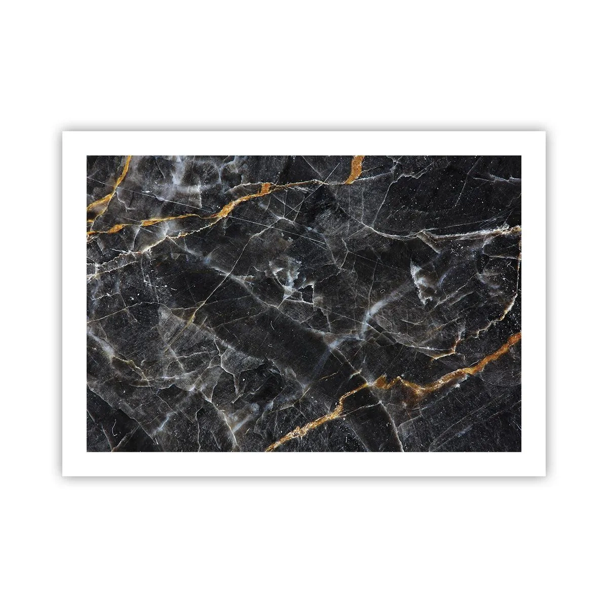 Poszter - A kő belső élete - 70x50 cm