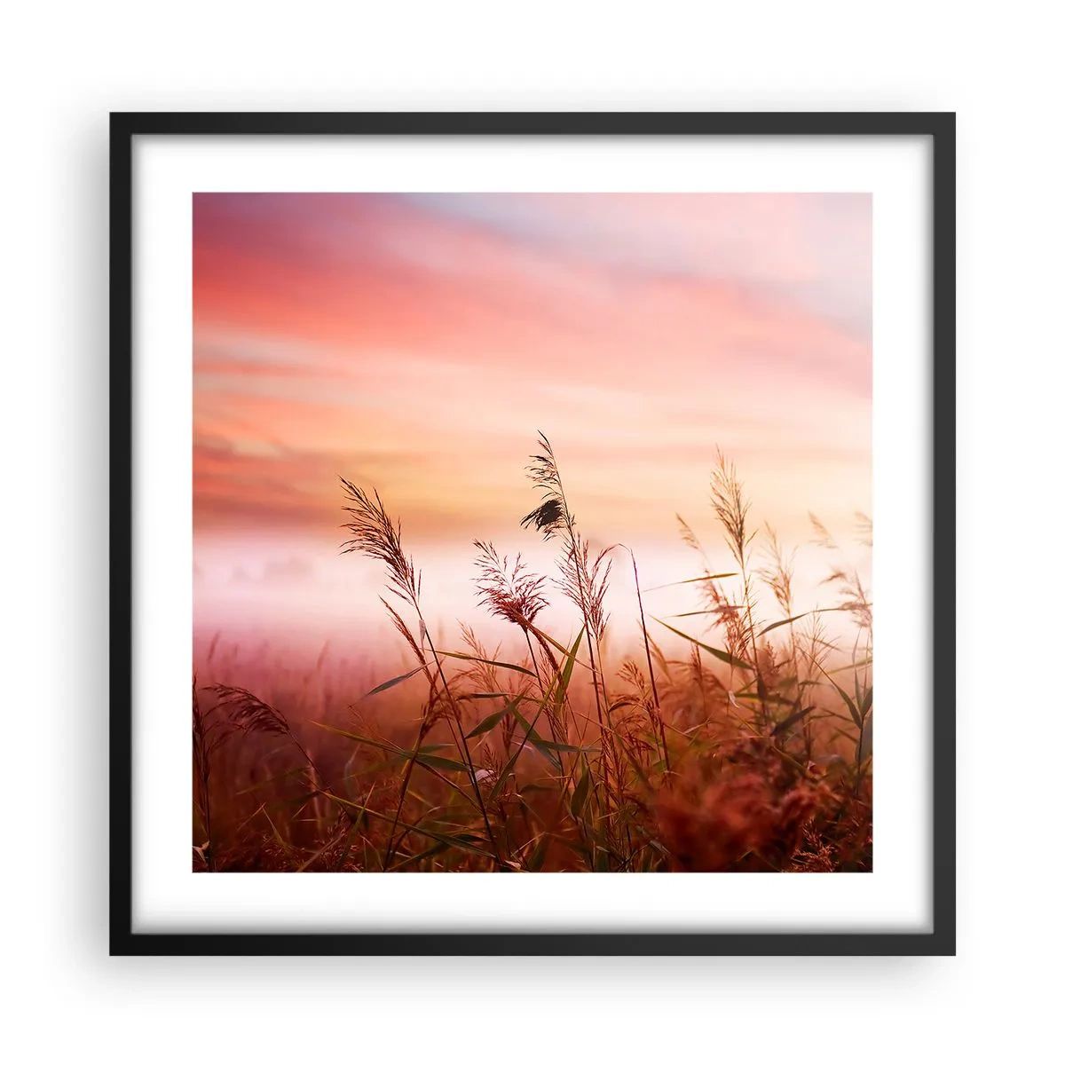 Poszter fehér keretben - Sárkányok, pitypangok, szél - 50x50 cm