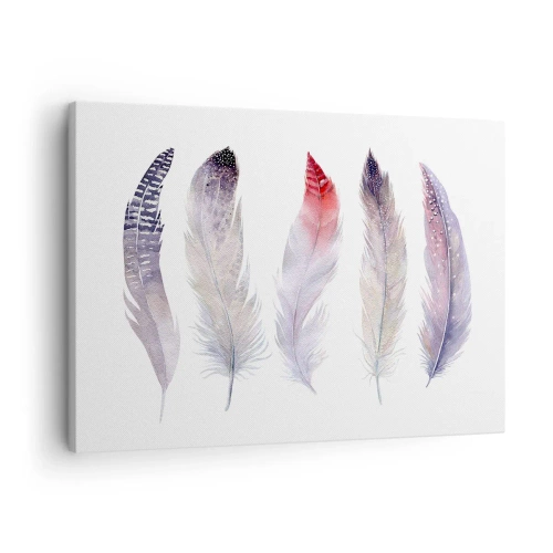 Vászonkép - Öt finom toll pasztell árnyalatokban világos háttér előtt - 70x50cm - Gyengéd, mint a sokszínű köd - Modern fali dekoráció nappalihoz és hálószobához ARTTOR