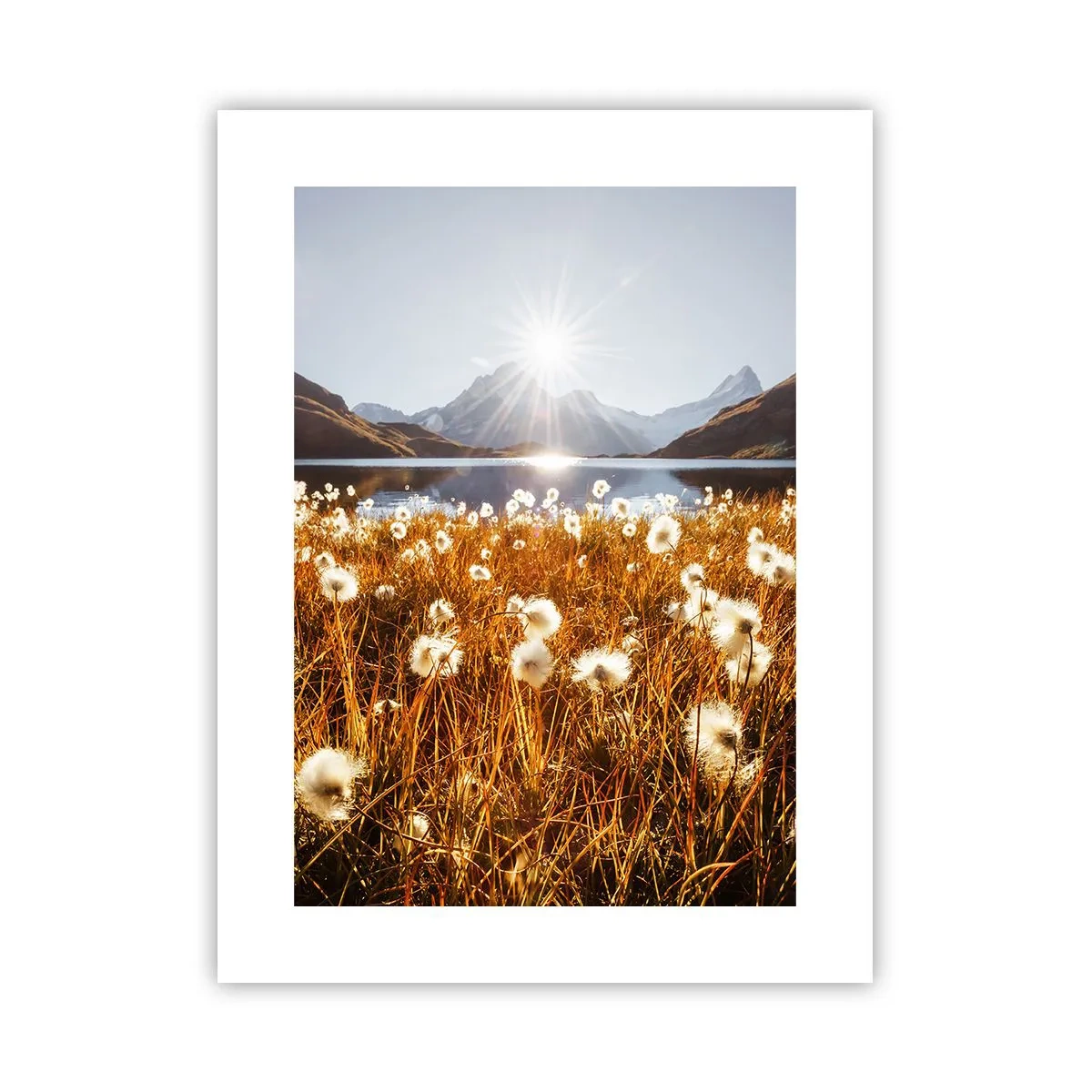 Poszter - Szikla keménysége, fű lágysága - 30x40 cm