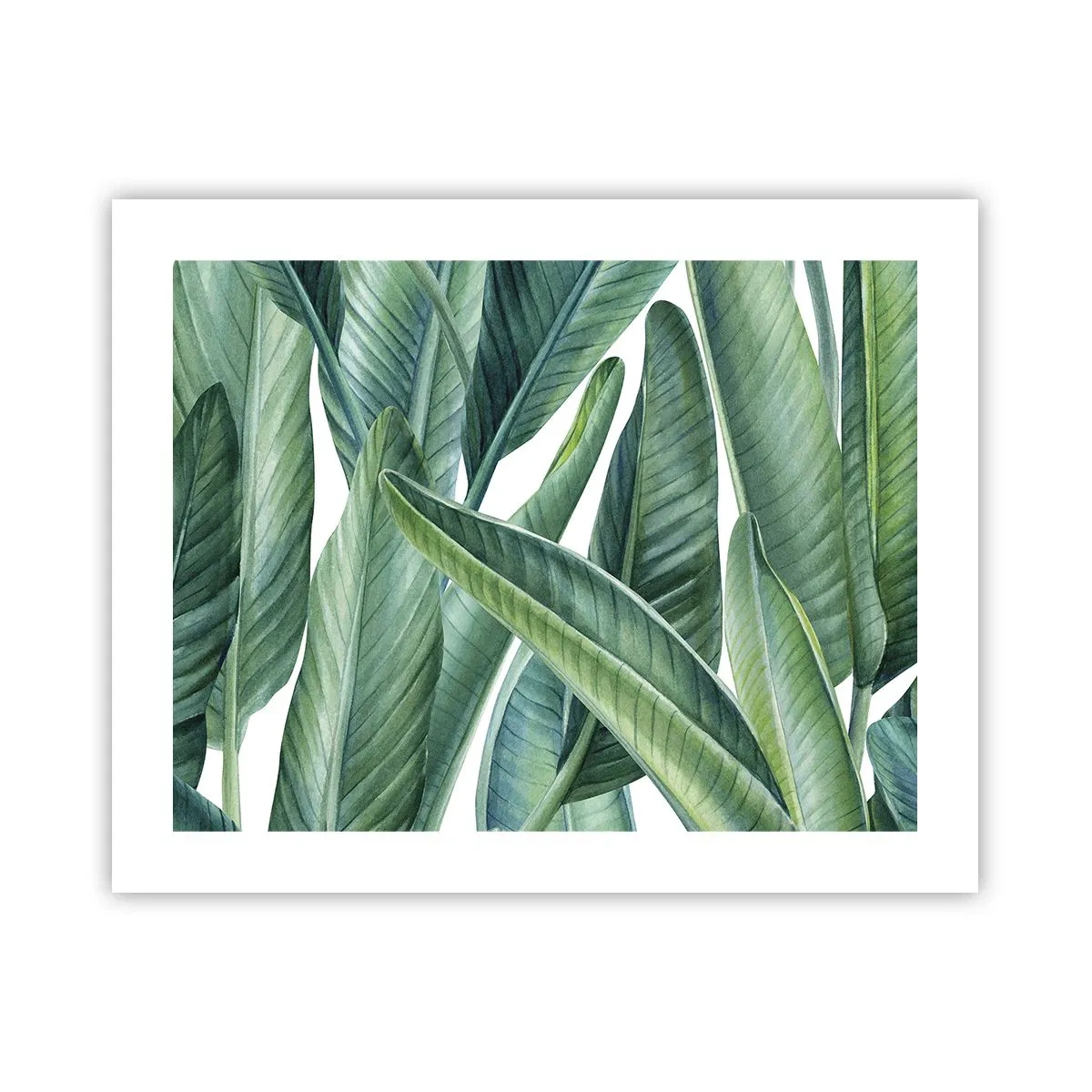 Poszter - Zöld önmagában - 50x40 cm