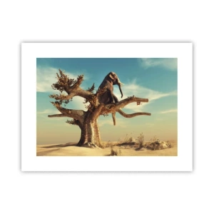 Poszter - Egy új nézőpont - 40x30 cm