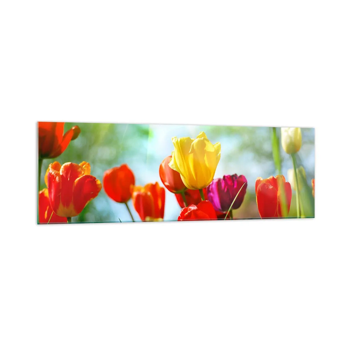 Üveg kép - A nap minden színe - 160x50 cm