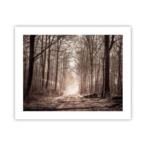 Poszter - Erdei katedrális - 50x40 cm