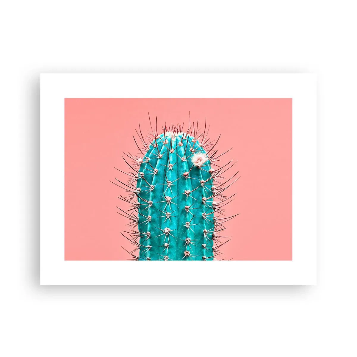 Poszter - Csak nézz - 40x30 cm