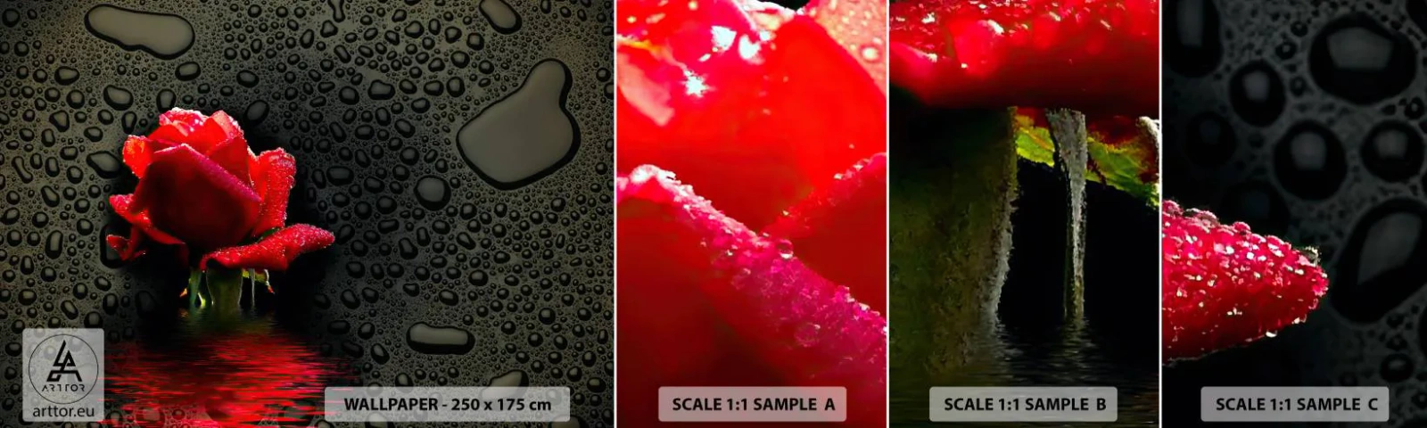 Fotótapéta Minta Standard Eco - piros és fekete - Virágok, Rózsa, Víz - 100x30 cm