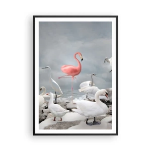Poszter fehér keretben - Hogy kerültem ide? - 70x100 cm