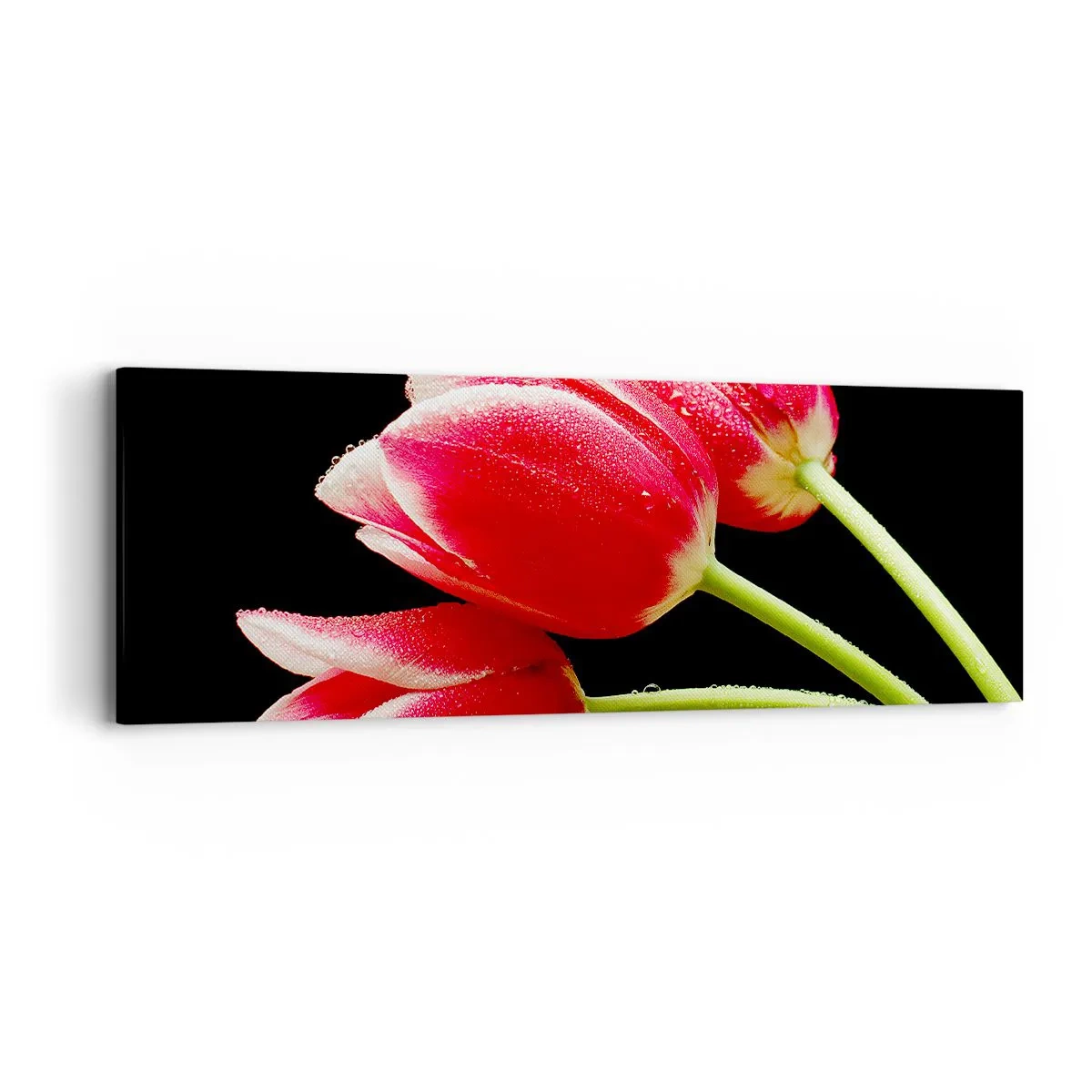 Vászonkép - A tiszta szerelem ígérete - 90x30 cm