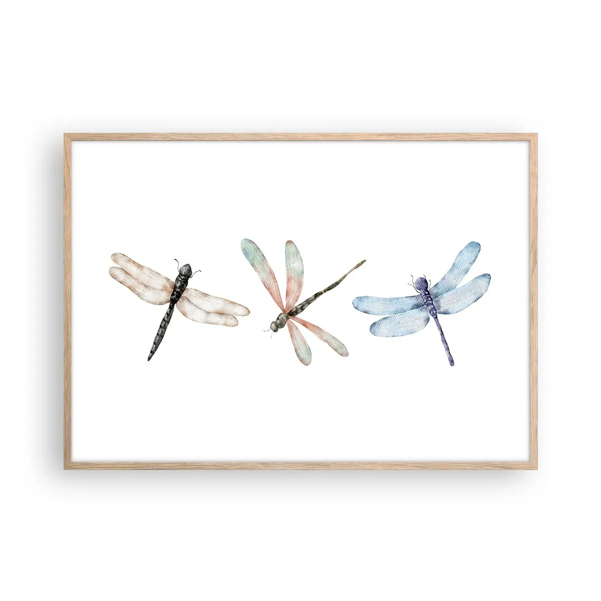 Poszter világos tölgy keretben - Súlytalan szitakötők - 100x70 cm