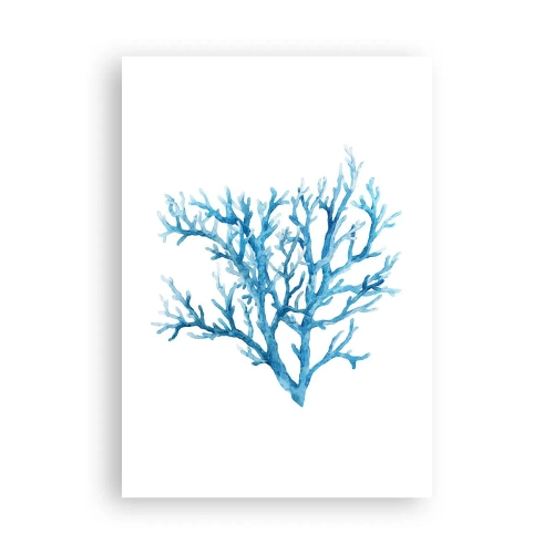 Poszter - Tengeri filigrán - 70x100 cm