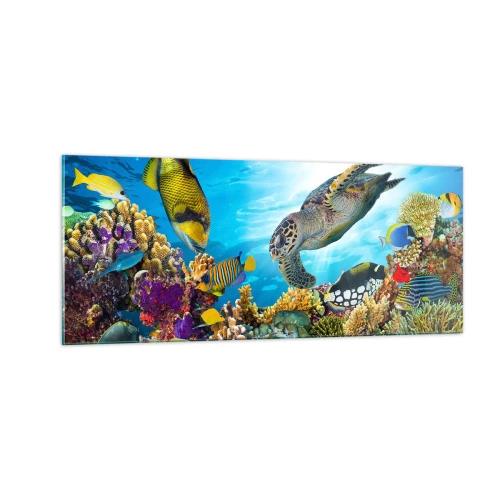 Üveg kép - Korall sétány - 100x40 cm