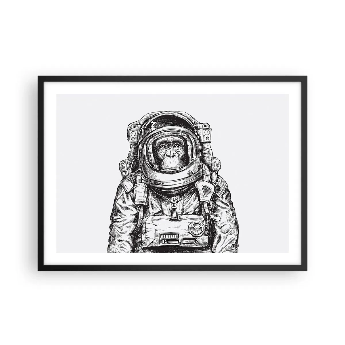 Poszter fehér keretben - Alternatív evolúció - 70x50 cm