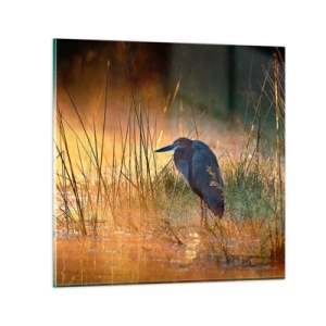 Üveg kép - Hagyjatok békén ezekkel a fotókkal - 60x60 cm