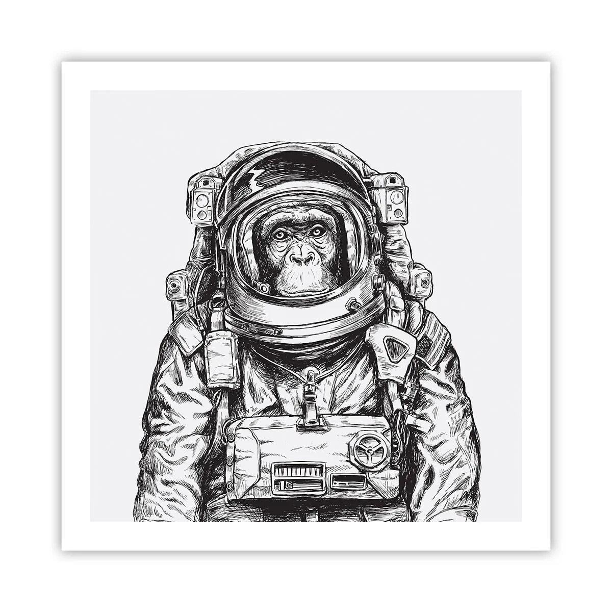 Poszter - Alternatív evolúció - 60x60 cm