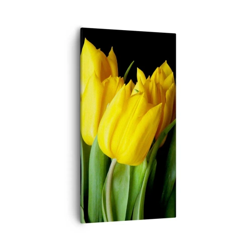 Vászonkép - Tiszta napból készült - 55x100 cm