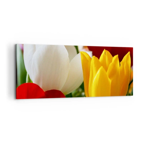 Vászonkép - Tulipán láz - 100x40 cm