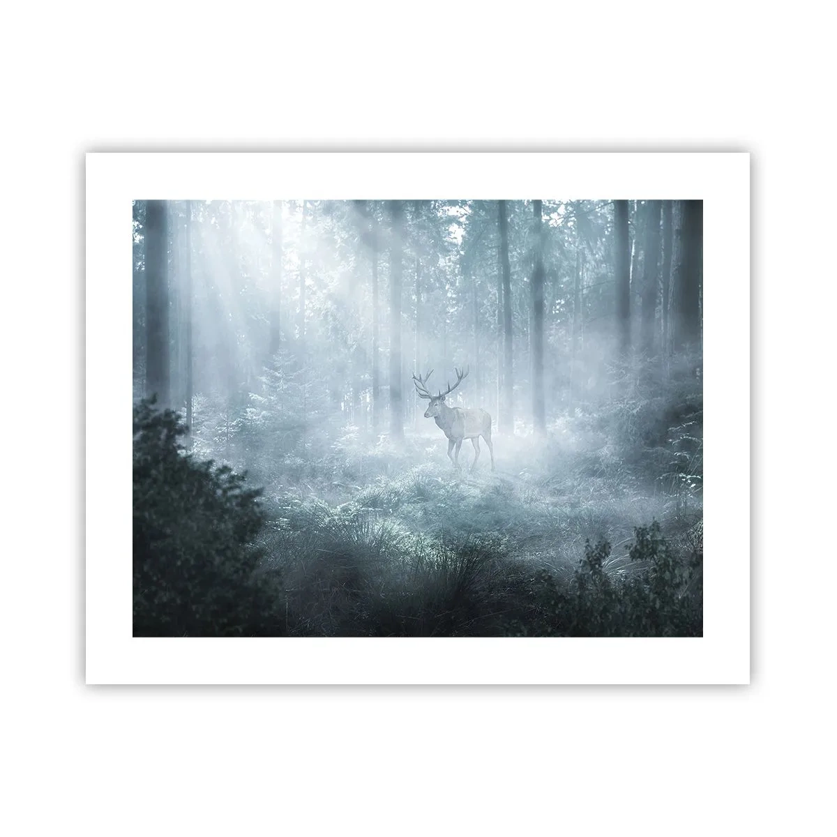 Poszter - Reggeli birtokellenőrzés - 50x40 cm