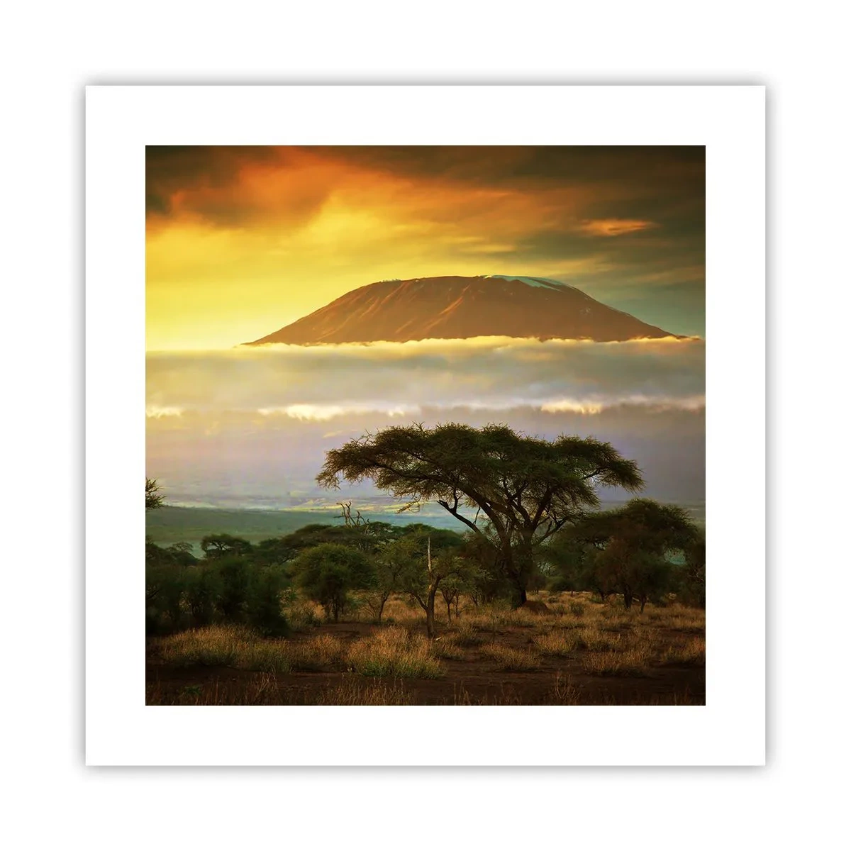 Poszter - Utazó álma - 40x40 cm