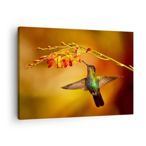 Vászonkép - Kolibri egy virág mellett a meleg fényben - 70x50cm - A fény hírnöke a maják szerint - Modern fali dekoráció nappalihoz és hálószobához ARTTOR
