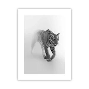 Poszter - Elrejtőzik a ködben - 30x40 cm