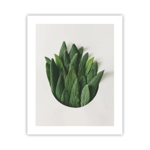 Poszter - Féktelen kíváncsiság - 40x50 cm