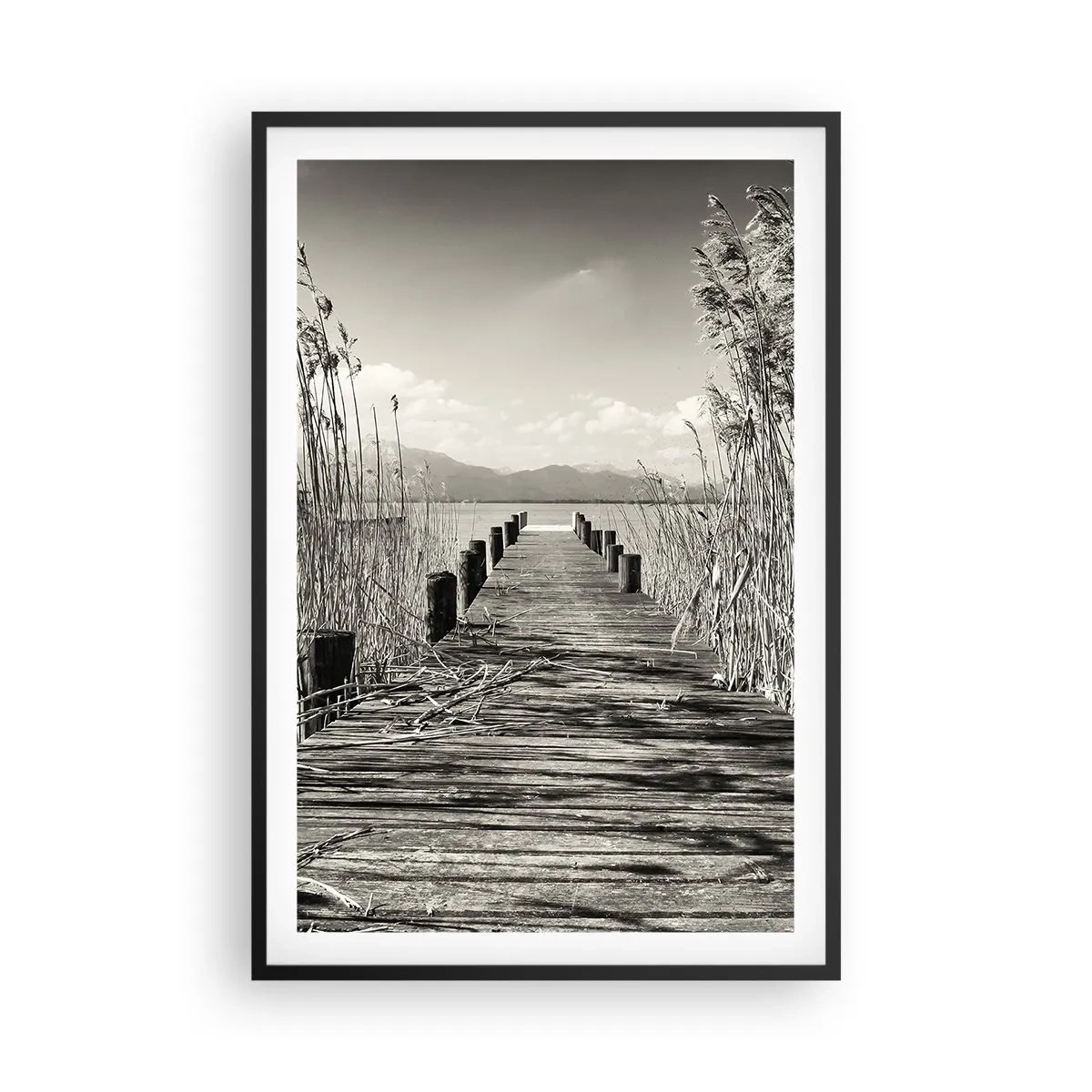 Poszter fehér keretben - A fű csendjében - 61x91 cm