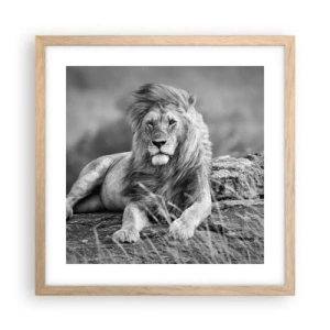 Poszter világos tölgy keretben - Királyi szieszta - 40x40 cm