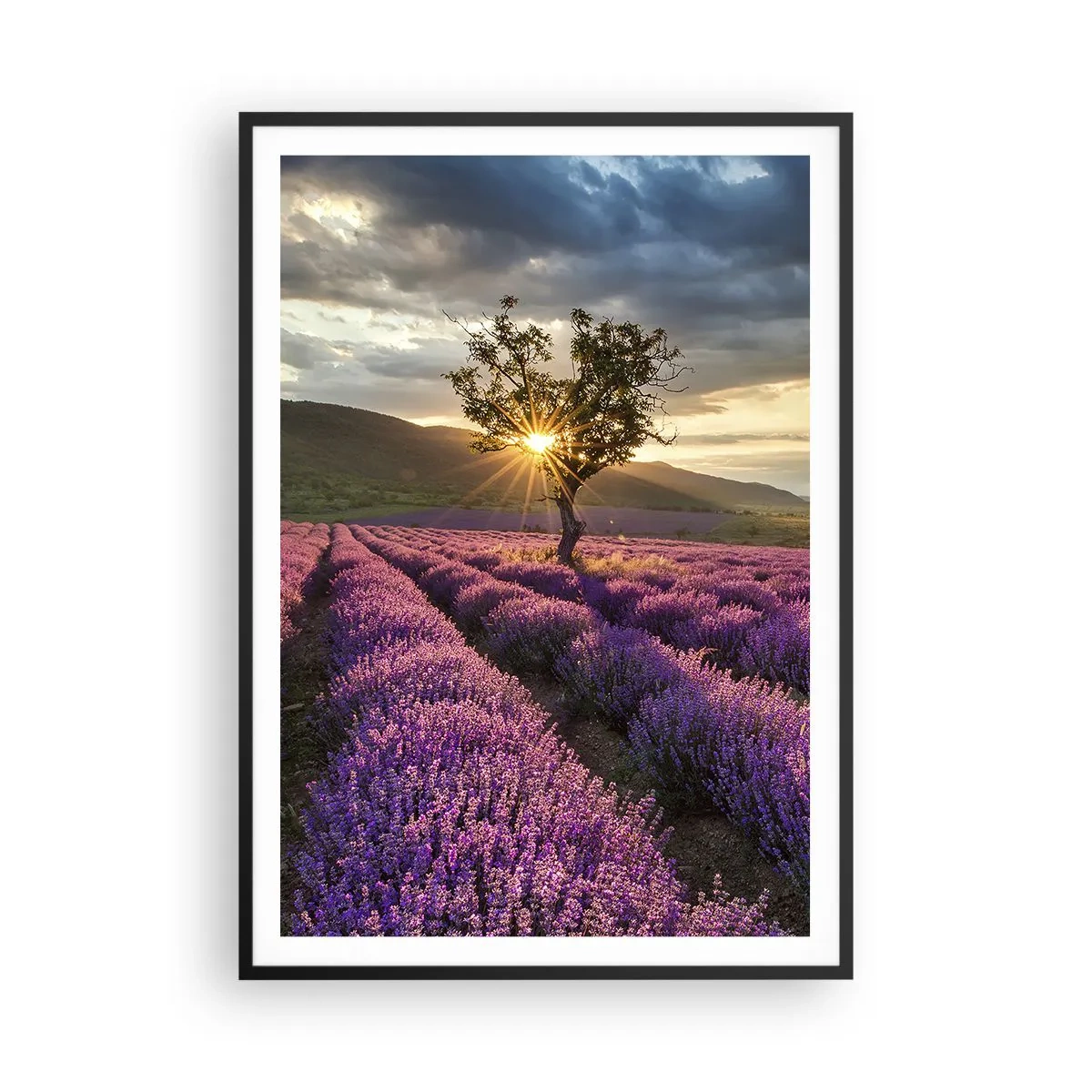 Poszter fehér keretben - Lila színű illat - 70x100 cm