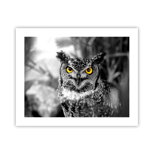 Poszter - Semmi sem fog elbújni - 50x40 cm