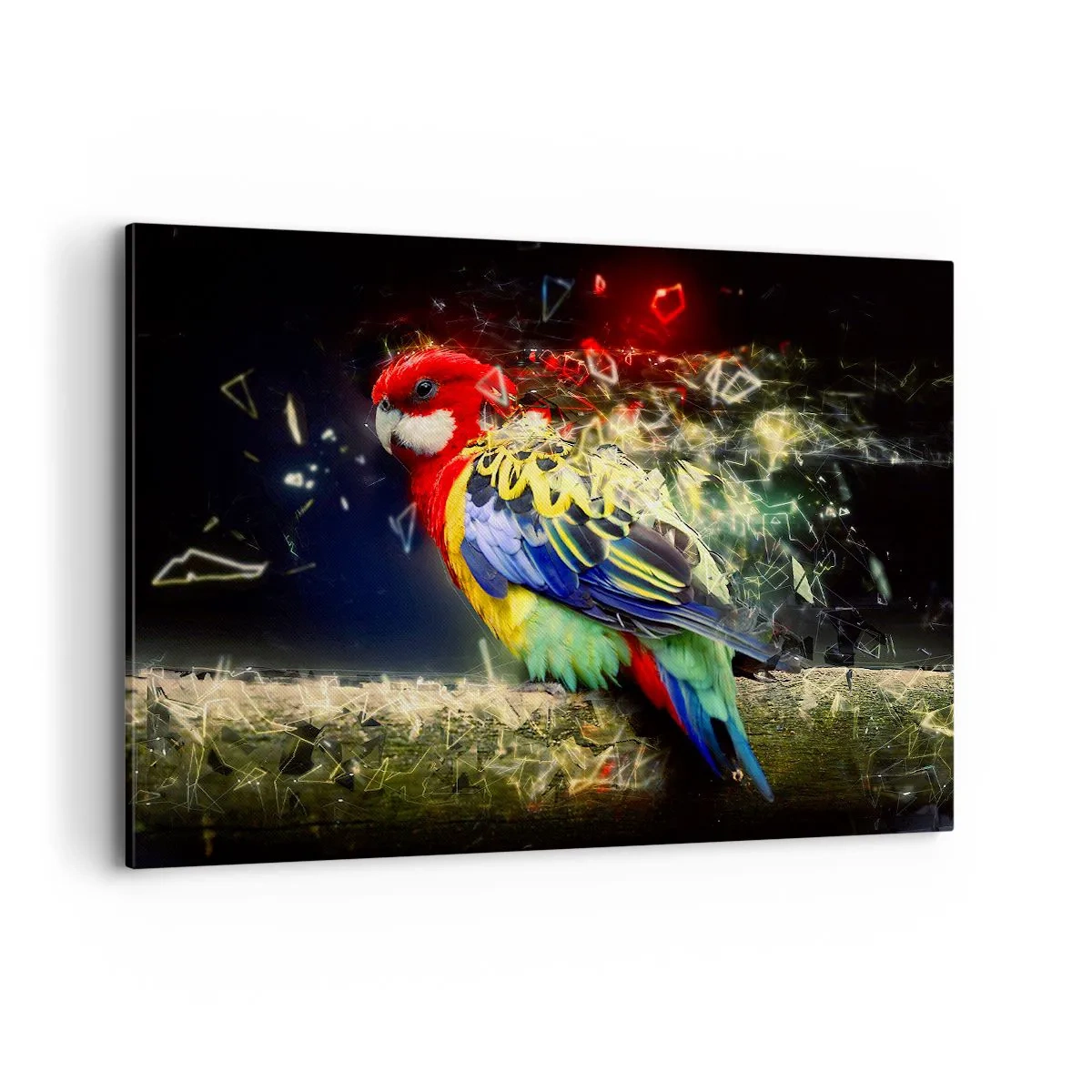 Vászonkép - A ragyogás hírnöke - 120x80 cm