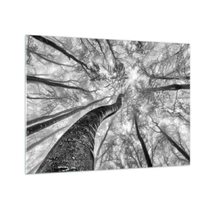 Üveg kép - Fekete-fehér fák alulról az ég felé fényképezve - 70x50cm - Verseny a fény felé - Modern fali dekoráció nappalihoz és hálószobához ARTTOR