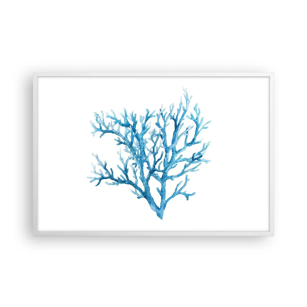 Poszter fekete keretben - Tengeri filigrán - 91x61 cm