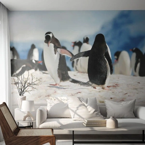 Fotótapéta Standard Eco - Tánc a havon - Pingvin, Antarktisz, Tájkép - 300x210 cm