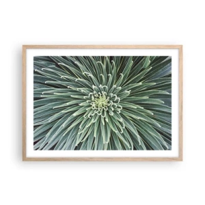 Poszter világos tölgy keretben - Csillag születik - 70x50 cm