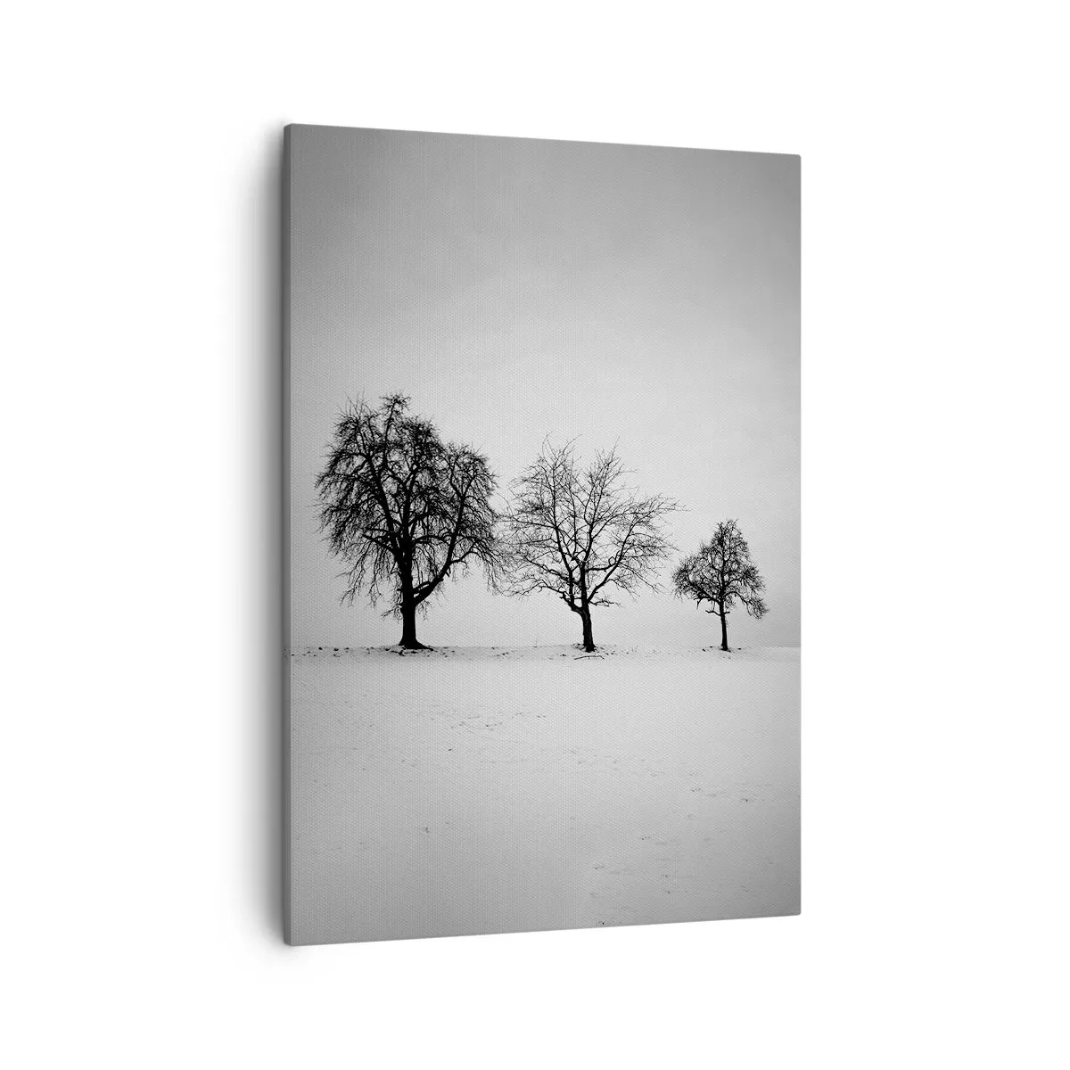 Vászonkép - Miről álmodoznak? - 50x70 cm