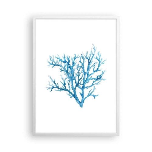 Poszter fekete keretben - Tengeri filigrán - 50x70 cm