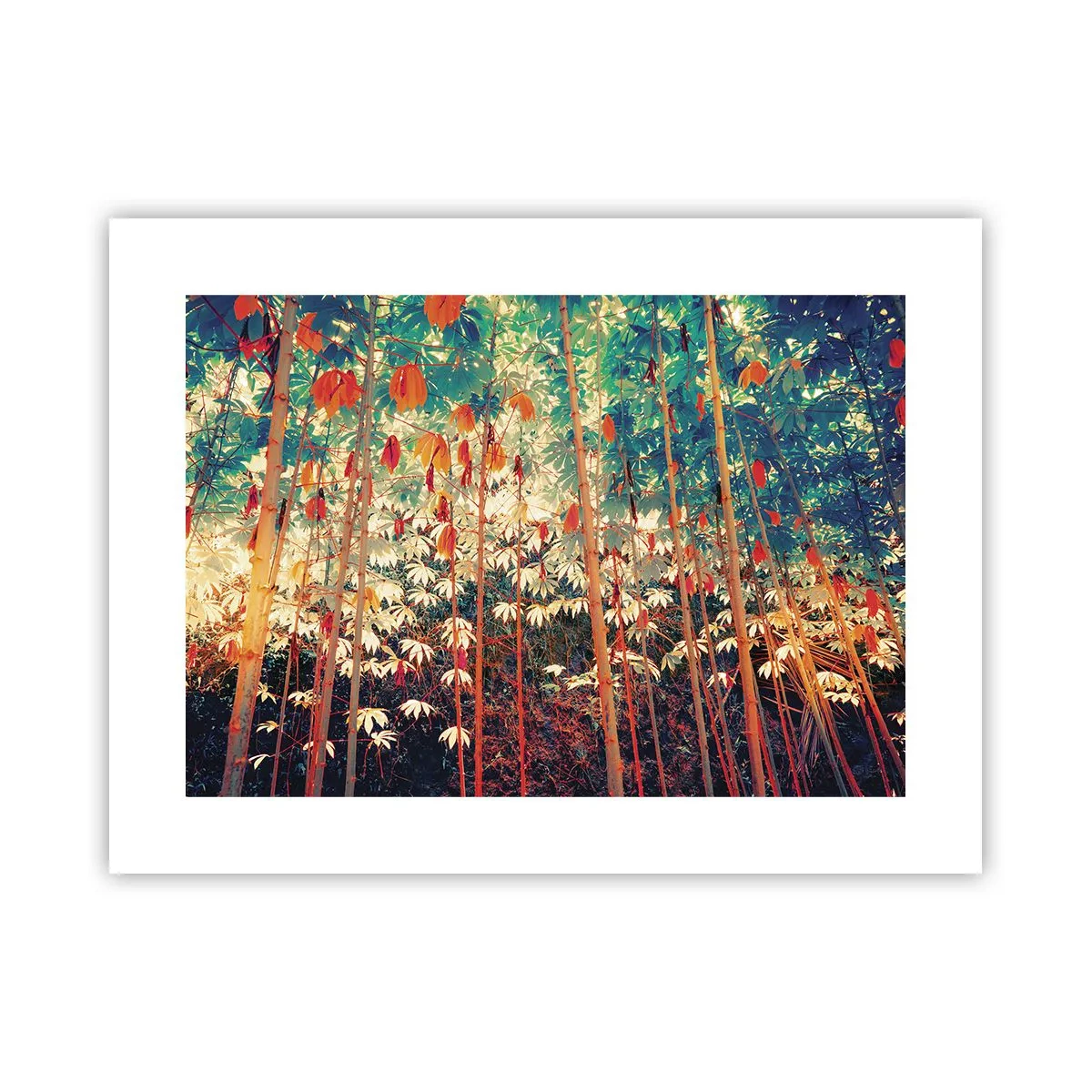 Poszter - A levelek titkos élete - 40x30 cm