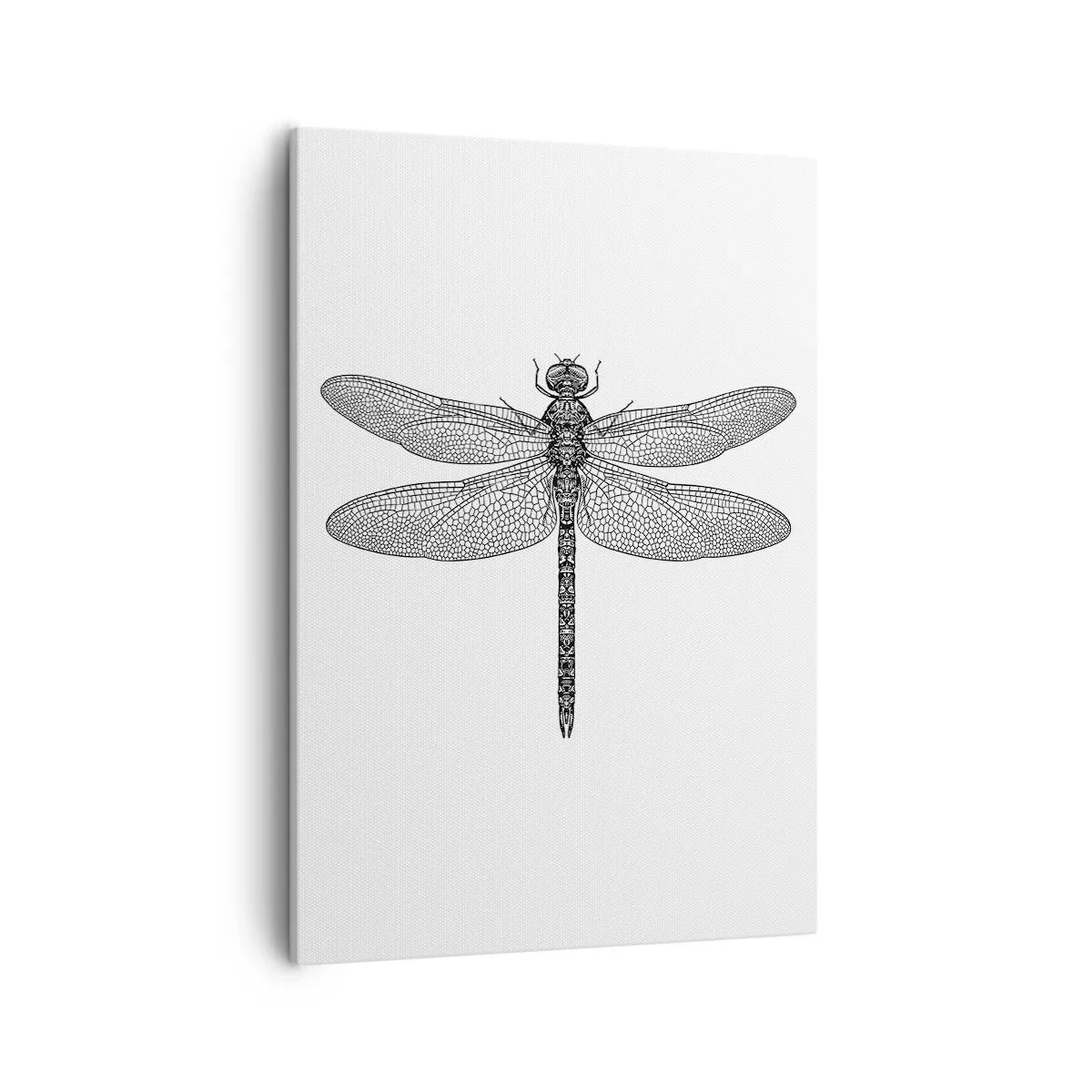 Vászonkép - A természet precizitása - 50x70 cm